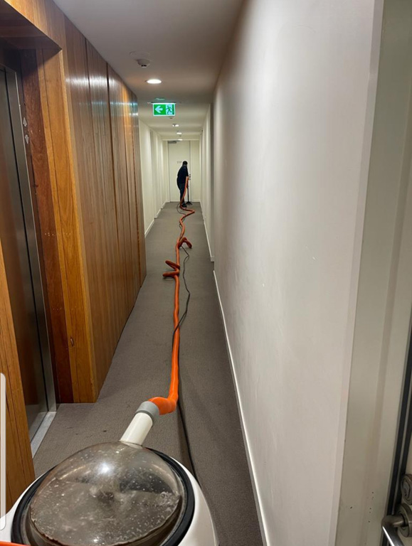 CARPET-STEAM-CLEANING-4