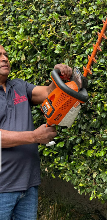 LANDSCAPING-&-MAINTENANCE-2