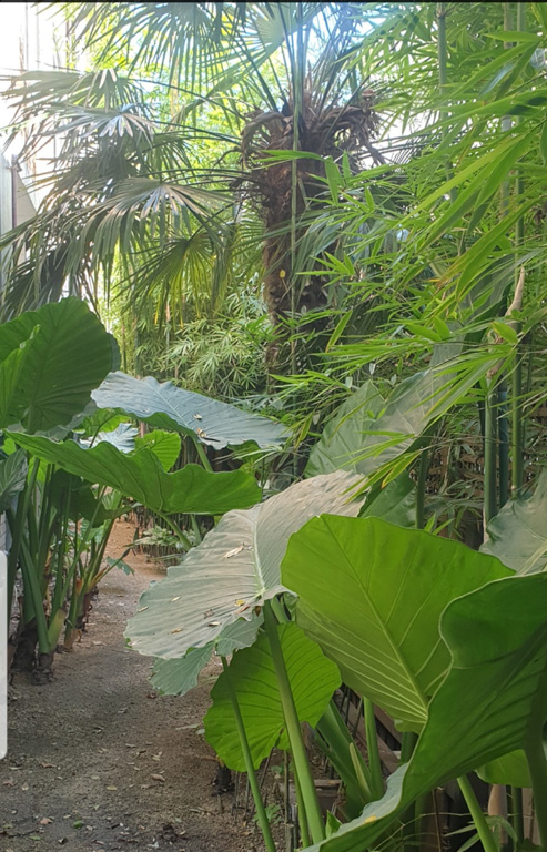 LANDSCAPING-&-MAINTENANCE-3